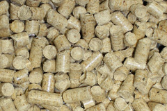 Cadney biomass boiler costs