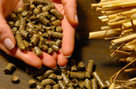 free Cadney biomass boiler quotes